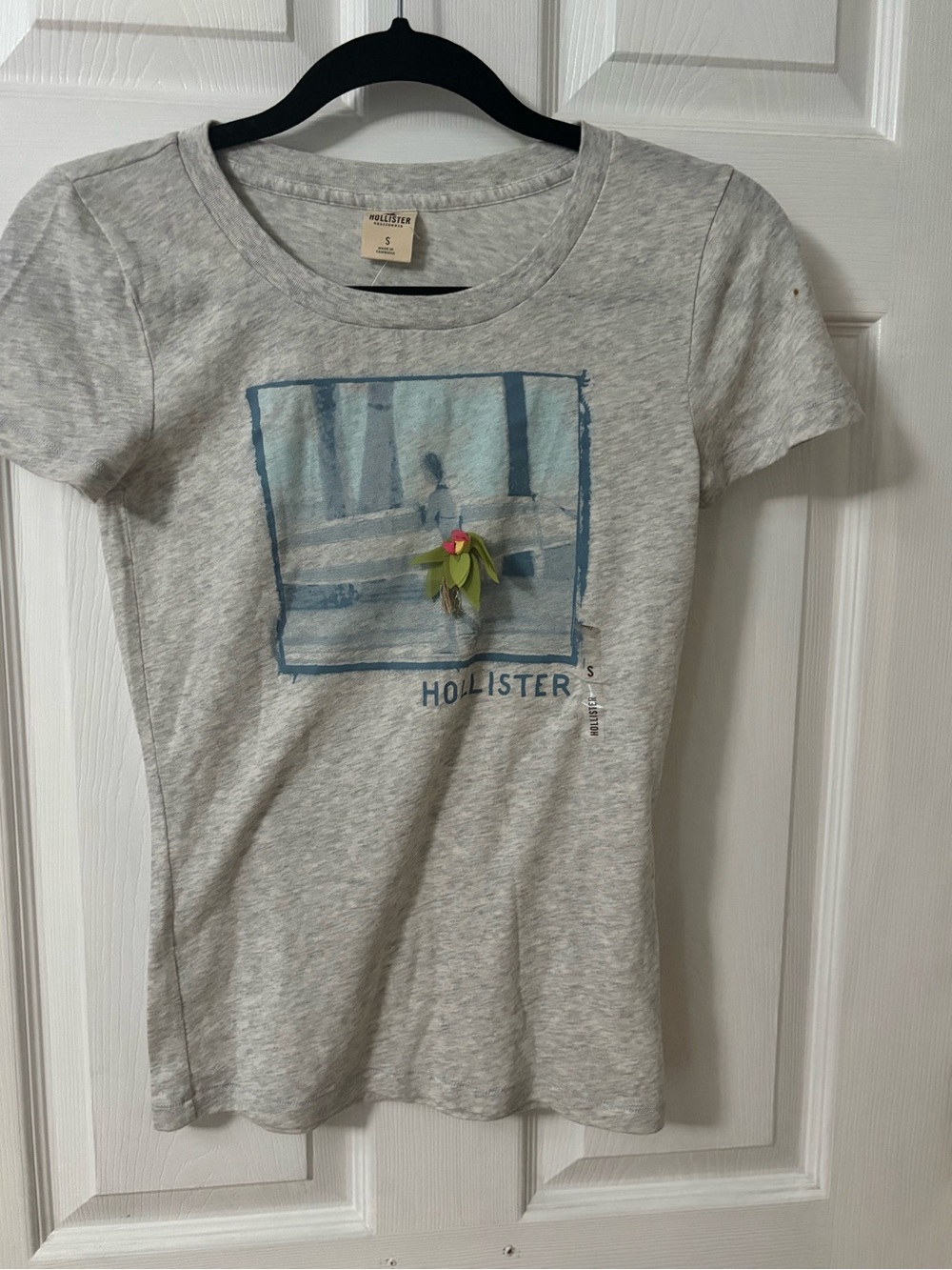Hollister Heather Gray Tee with Blue Frame and Floral Accent
